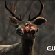 Illustration for article titled First trailers for The 100, The Originals and even more CW shows